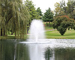 3400JF-Birch