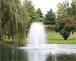 4400JF-Birch