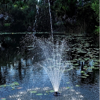 OASE 1/4 HP Floating Fountain with Lights