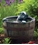Aquascape Man In Barrel Spitter 