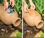 Aquascape Pond Filter Urn Replacement Filter Kit