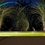 50355_WaterJetLightning-E