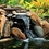 45385_LightedWaterfall-A