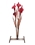 Red Iris Flower Fountain