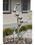 Harmony Springs Stainless Steel Cup Fountain