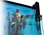 Aqua UV Advantage 2000 8 Watt Unit Barb x Barb