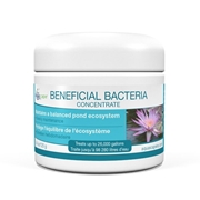 98925-BBacteriaDRY125