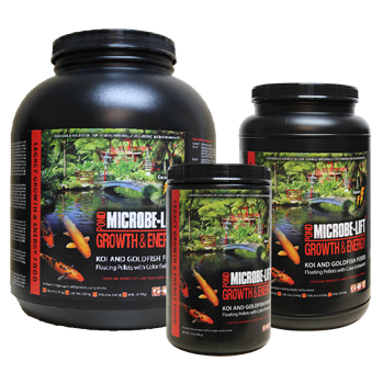 Growth-Energy-Food