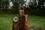 Atlantic Set of 3 Basalt Columns-1