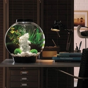 biOrb Classic 30 Aquarium- 8 gallon