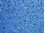 High Density Blue Matala Mat-Close Up