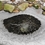 Atlantic Pond De-Icer-2