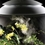 biOrb Air 30 Terrarium-Mist