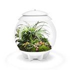 biOrb Air 30 Terrarium- White