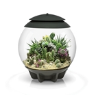biOrb Air 30 Terrarium- Grey