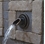 Atlantic Ravenna Wall Spout (Bronze/Oval Plate)