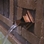 Atlantic Verona Wall Spout (Copper/Square Plate)