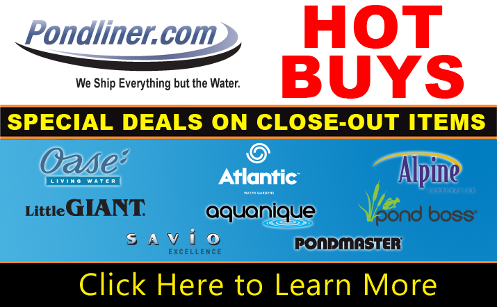 Hot Buys