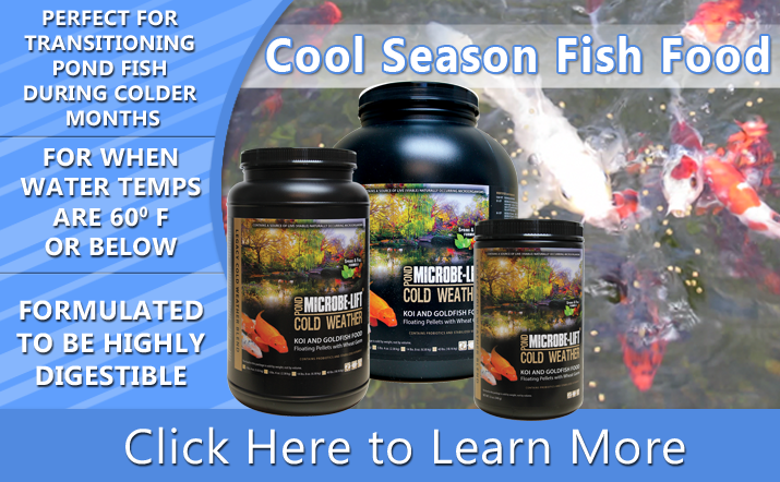 Cool Season Fish Food