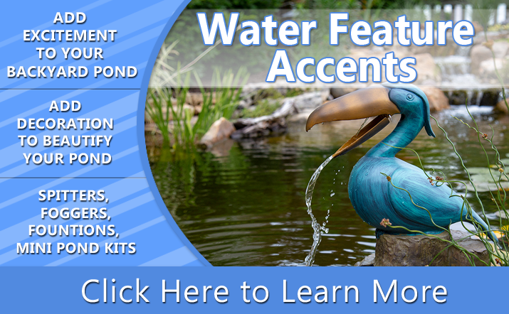 Water Feature Accents