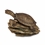 Aquascape Turtle on a Log Spitter Side A