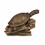 Aquascape Turtle on a Log Spitter Side B