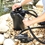 SmartPond Pressurized UV Pond Filter Install