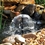 SmartPond Filter Kit with Pump Bell
