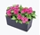 Aquascape Fountain Bowl Hanging Planters- 1