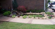 backyard pond