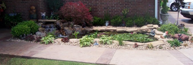 backyard pond