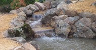 pond rock