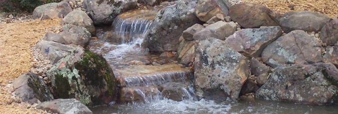 pond rock