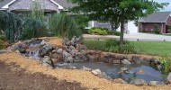 new pond
