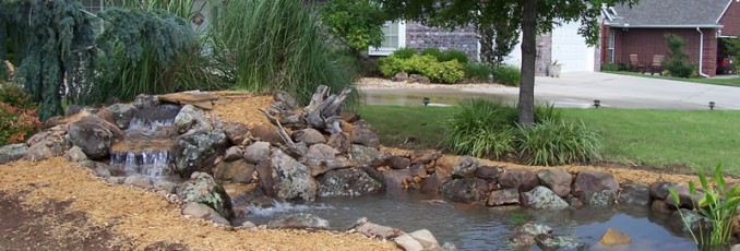 new pond