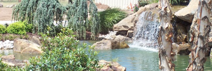 pond
