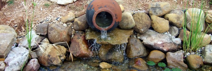 pond water
