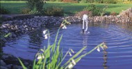 pond aeration