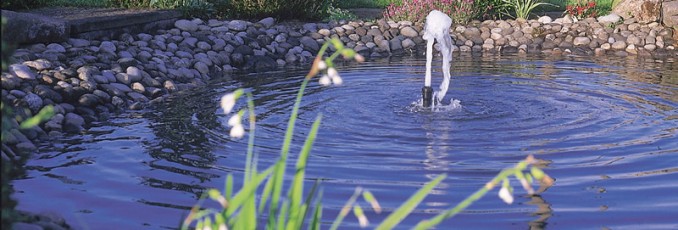 pond aeration