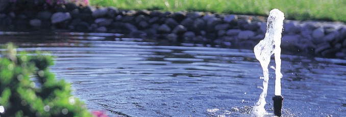 pond pumps