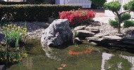 spring pond