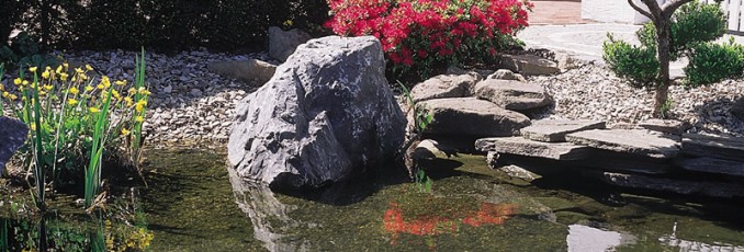 spring pond