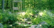 relaxing pond