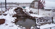 winter pond