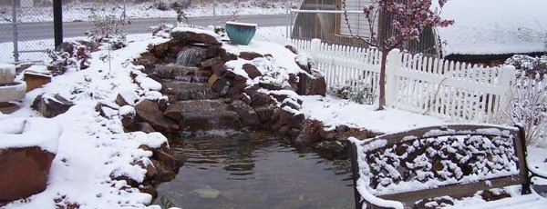 winter pond
