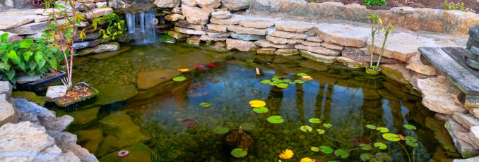 Water Garden