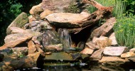 Pond Waterfall