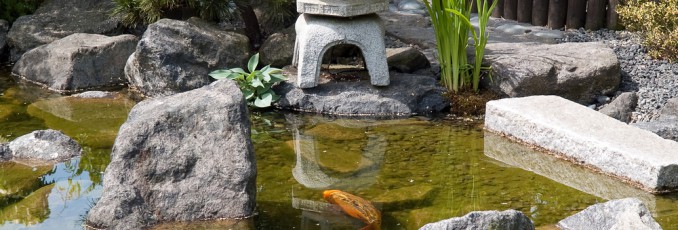 Japanese Water Garden