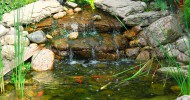 Fall Pond