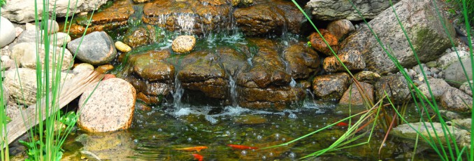Fall Pond
